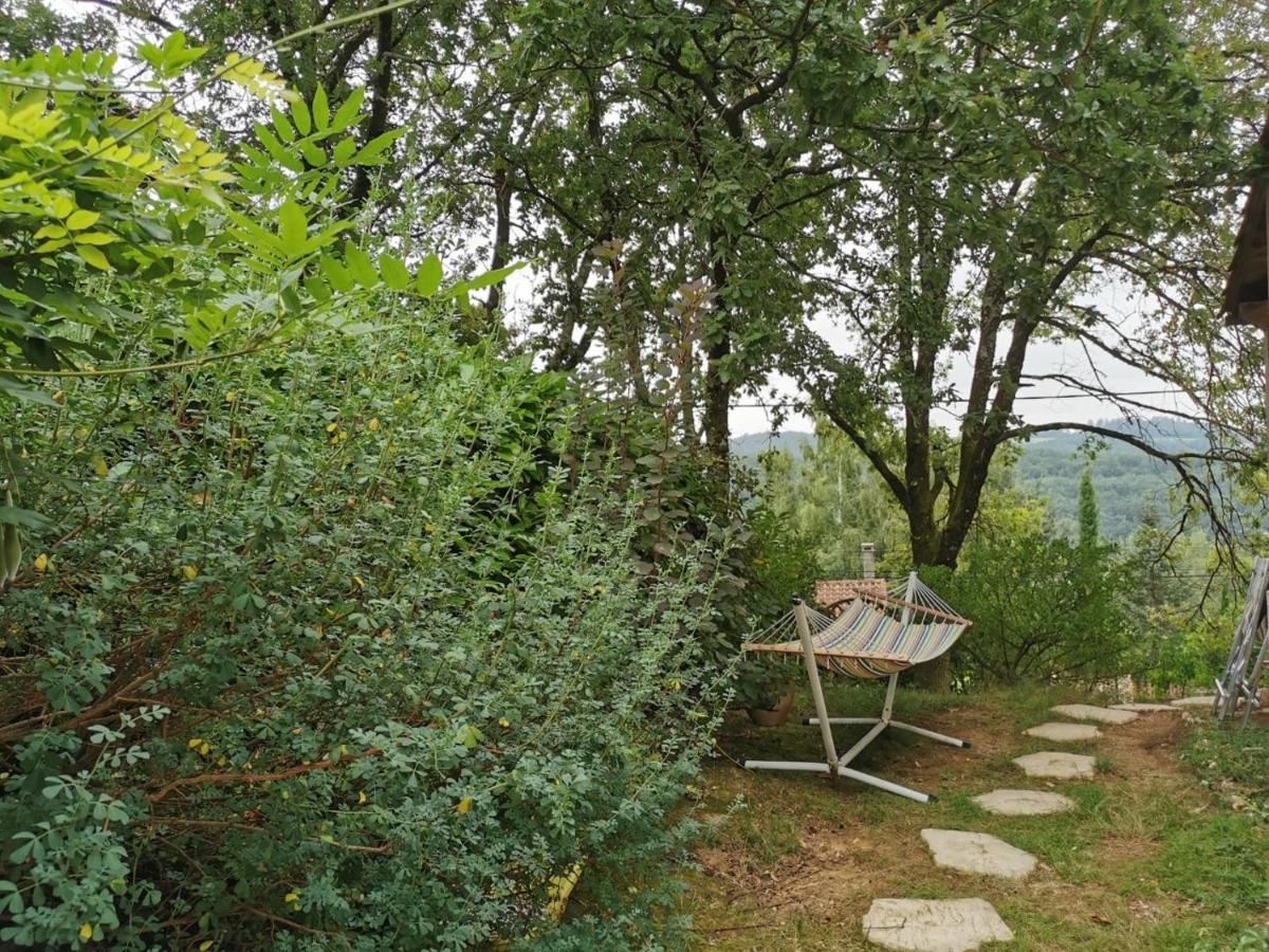 Chambre Chez L'Habitant A La Campagne Sidobre Burlats 외부 사진